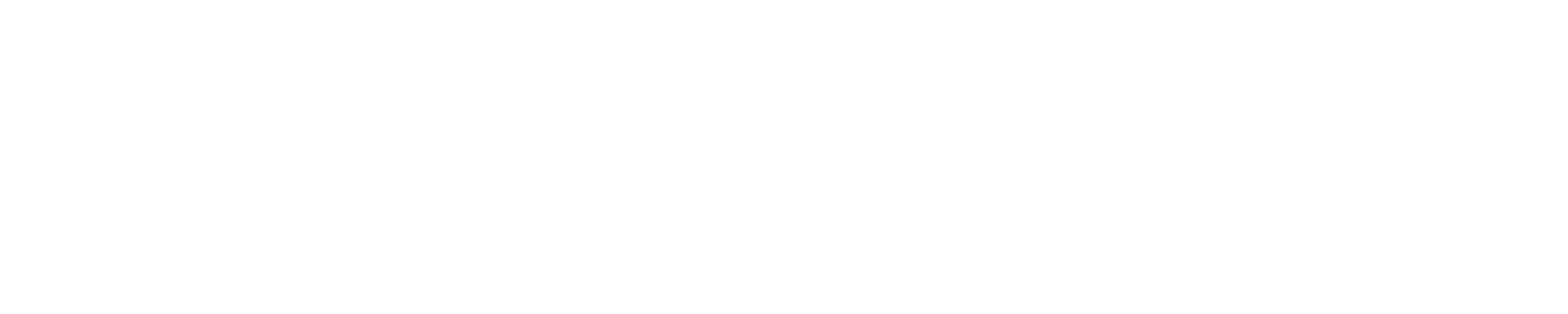 Attityd 65 Plus logo white